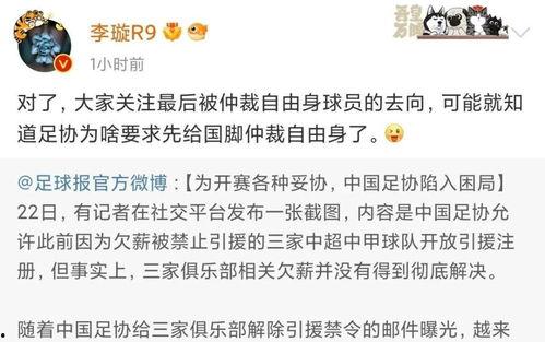 李璇爆料裁缝是哪一集视频,裁缝身份曝光，真相竟藏于这一集视频  第1张